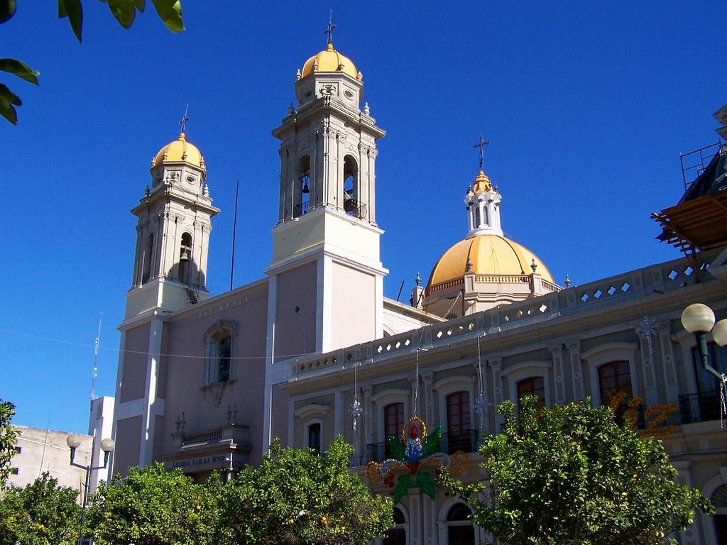 Catedral de Colima, Колима