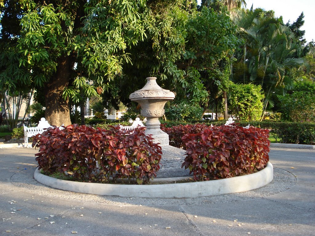 Jardin Nuñez, Колима