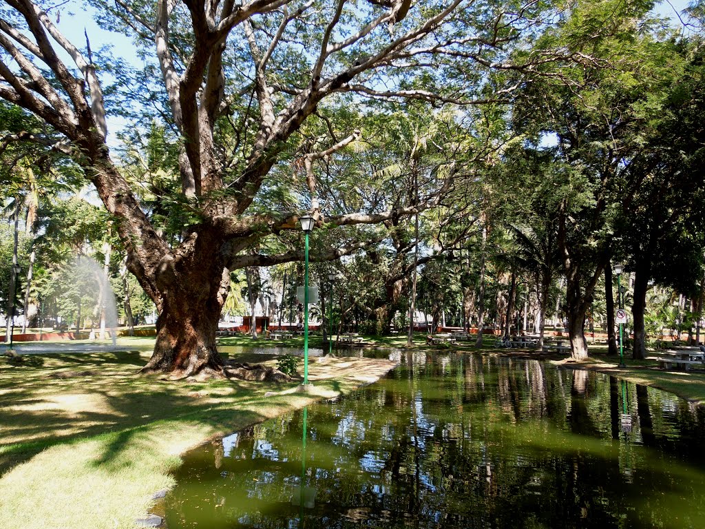 Jardin Hidalgo, Колима