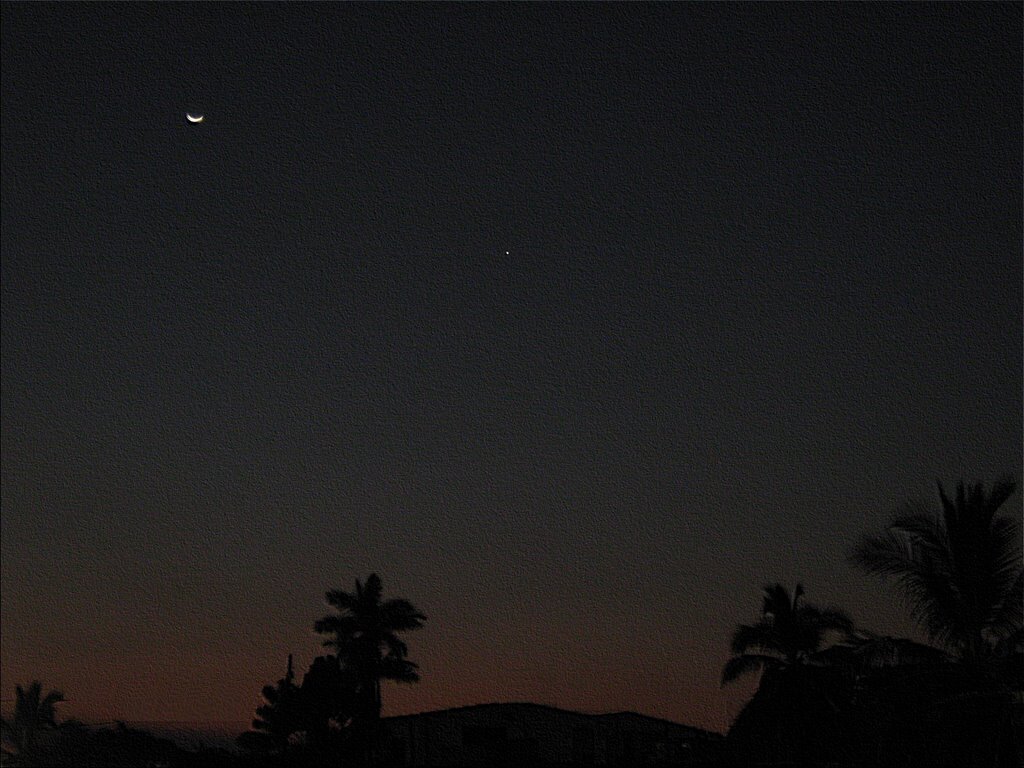 Moon & Star, Манзанилло