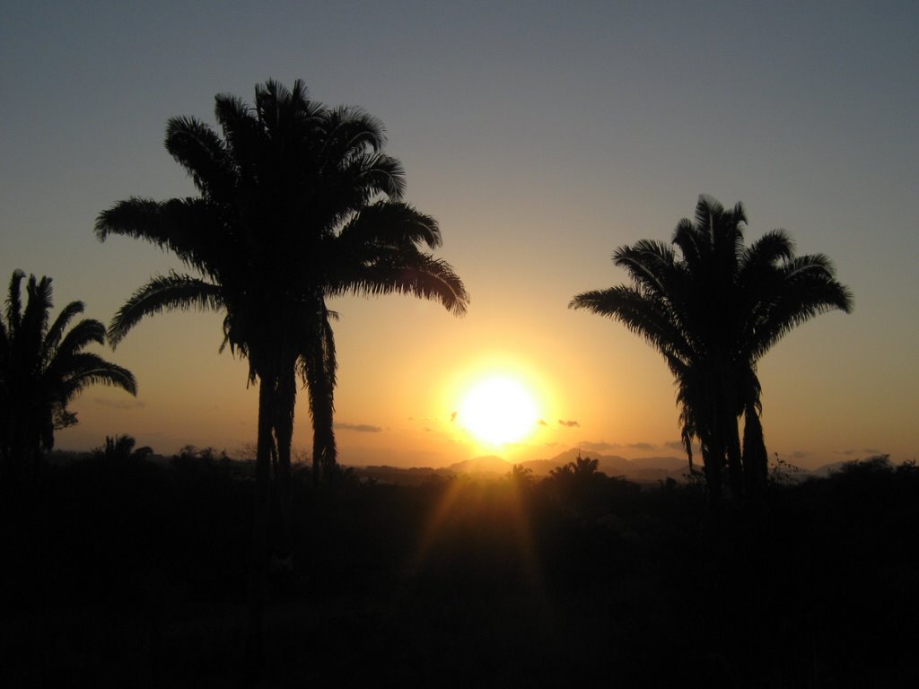 Twin Palms, Манзанилло
