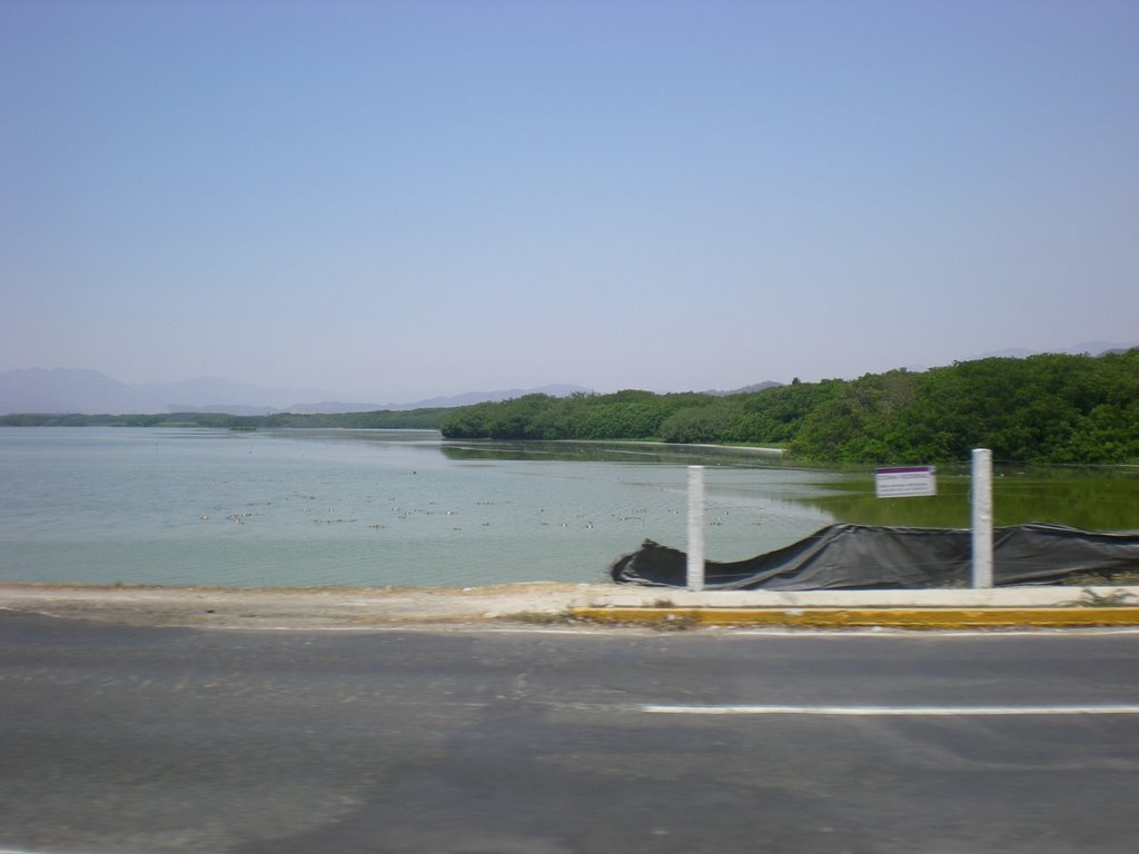 laguna valle de las garzas, Манзанилло