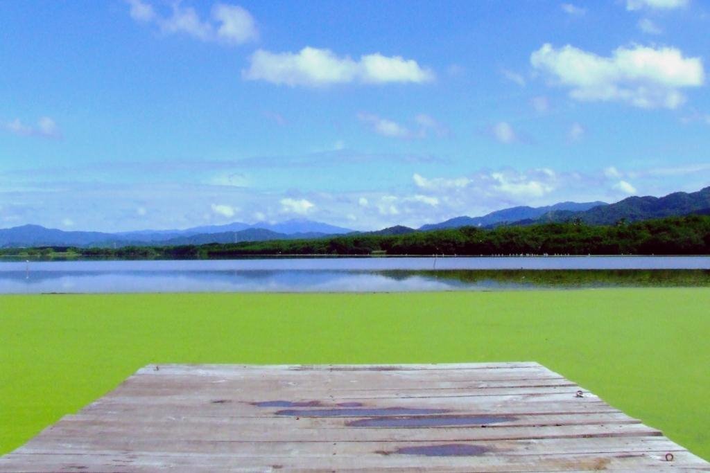Laguna (Valle de las Garzas), Манзанилло