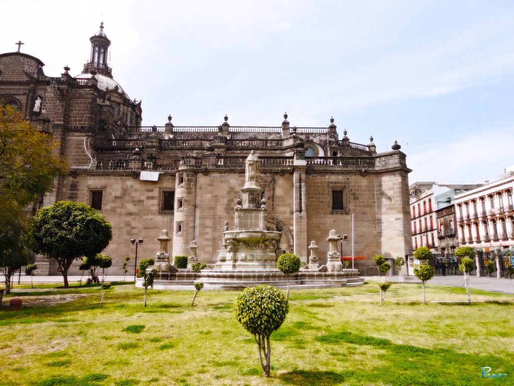 México, D.F., Cuauhtémoc, En las Jardineras de la Catedral Metropolitana., Наукалпан
