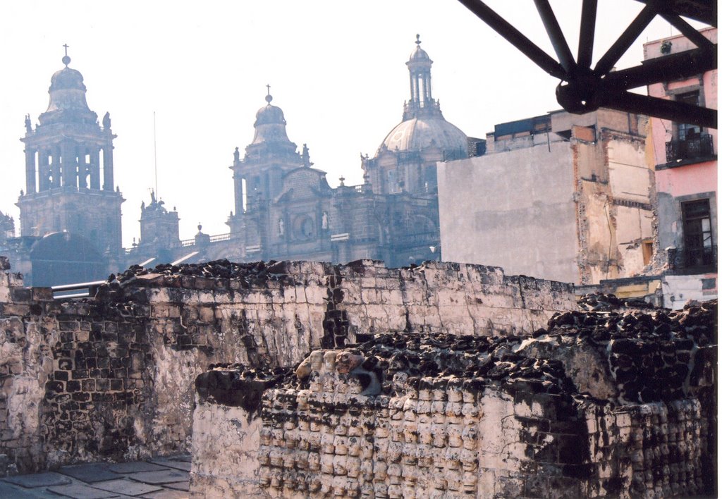 Skulls, Aztec Ruins, Mexico City, Текскоко (де Мора)