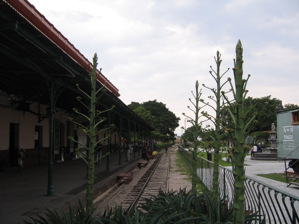 Estación Ferrocarril, Куаутла-Морелос