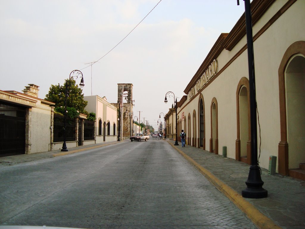 Calle Hidalgo Sur, Линарес
