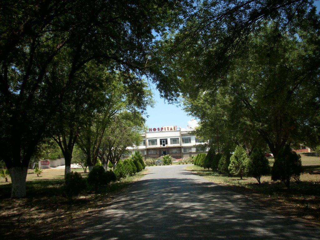 Hospital General de Linares, Линарес