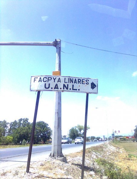 A FACPYA LINARES UANL, Линарес