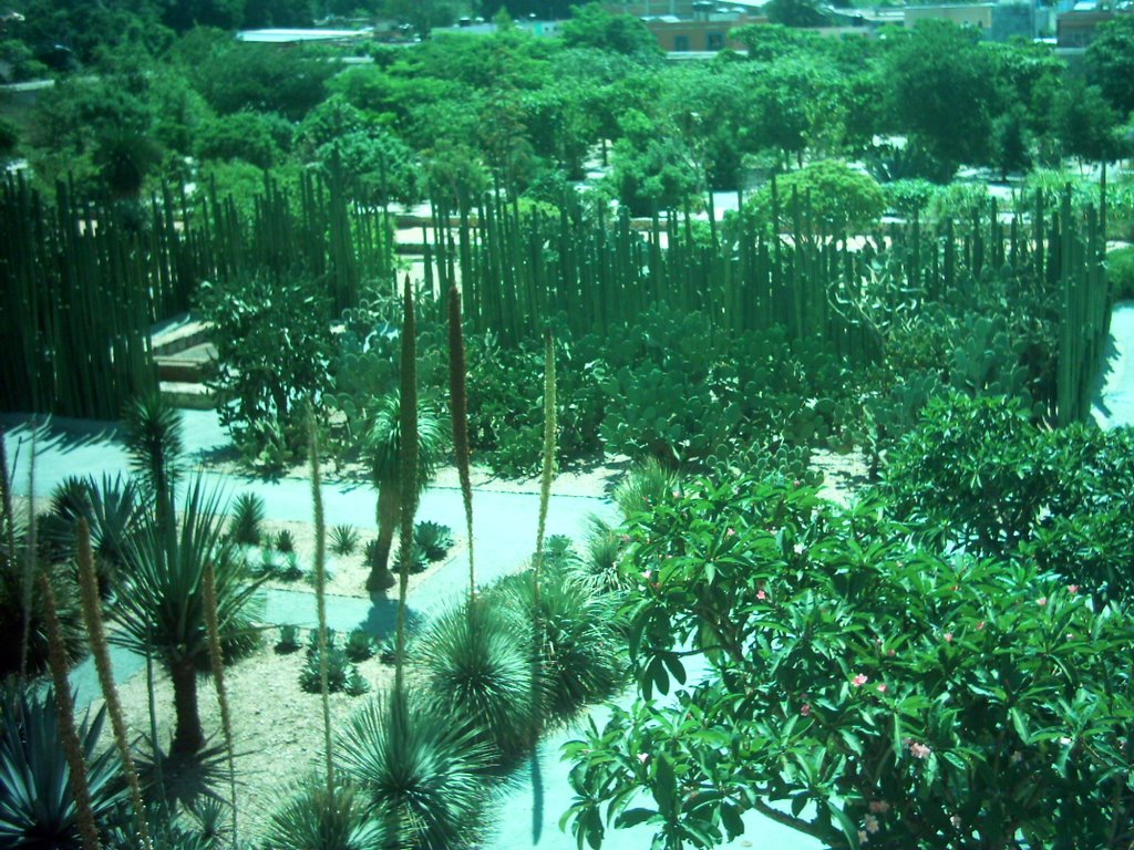 Jardines Santo Domingo, Оаксака (де Хуарес)