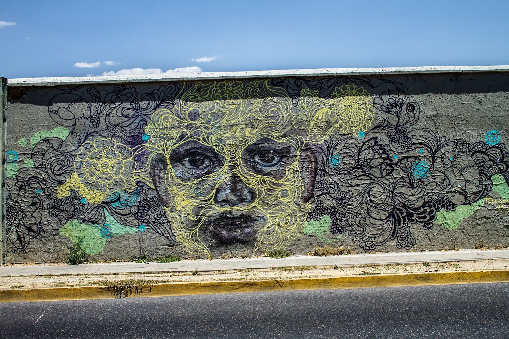 murales, oaxaca, Оаксака (де Хуарес)