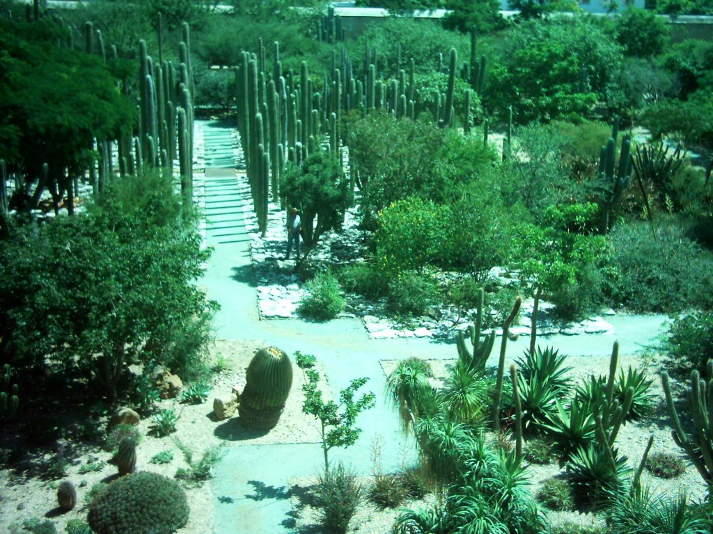 Jardín Etnobotánico, Sto. Domingo, Техуантепек