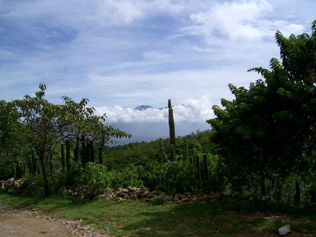 valle de Oaxaca, Тукстепек