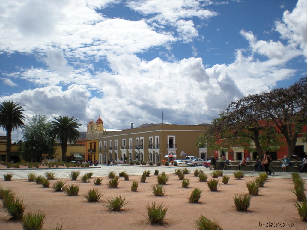 OAXACA EL ORIGEN DEL MEZCAL¡, Хуахуапан-де-Леон