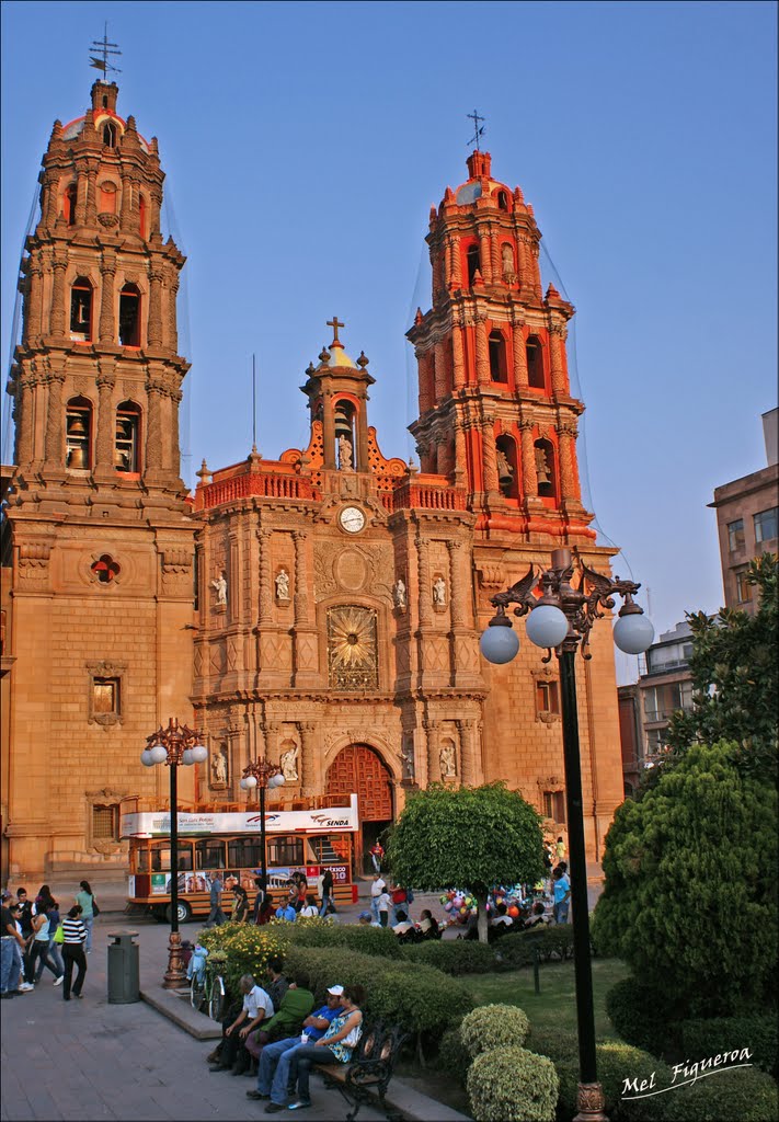 Catedral San Luis Potosi By Mel Figueroa, Матехуала