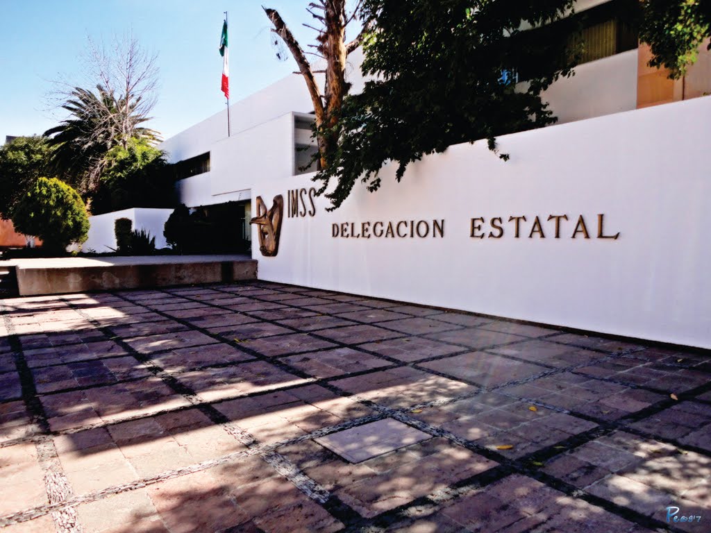 México, San Luís Potosí, IMSS - Delegación Estatal San Luis Potosí., Матехуала