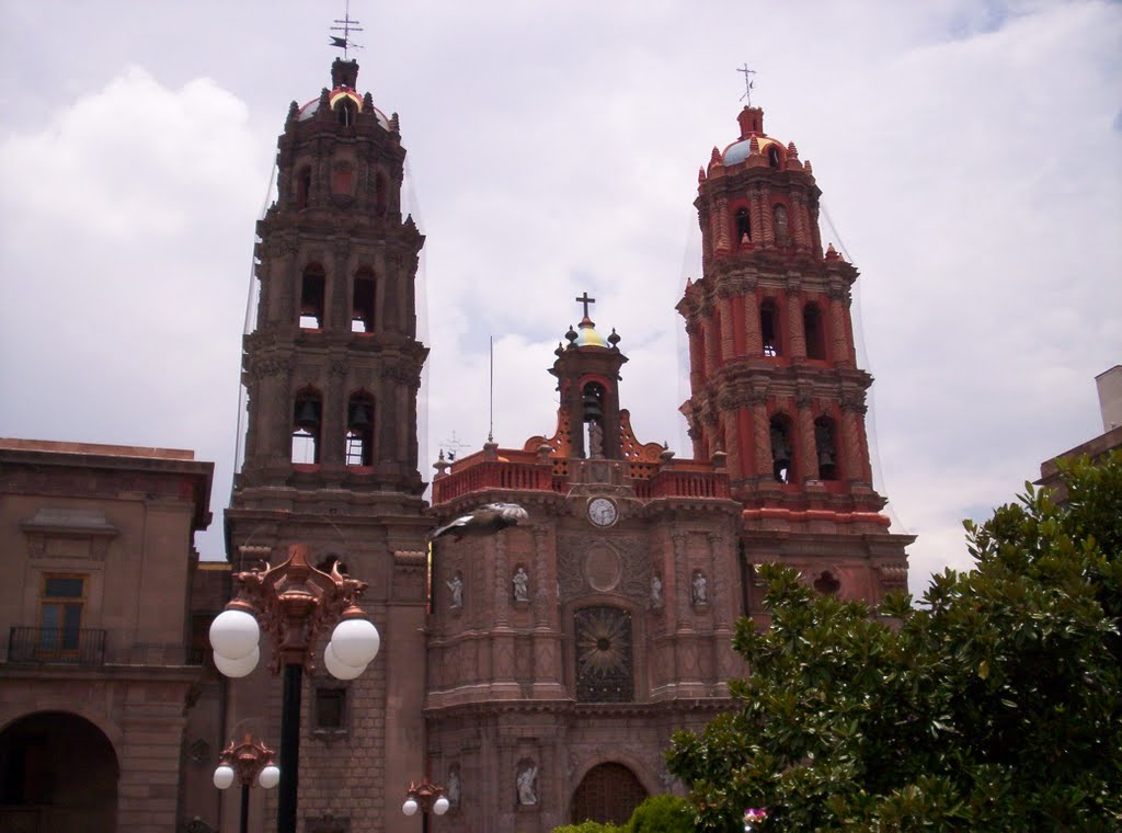 San Luis Potosi, Матехуала