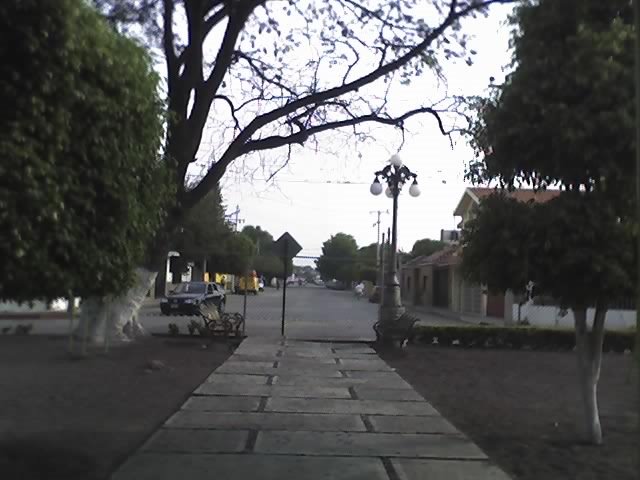 Jacarandas, Риоверде