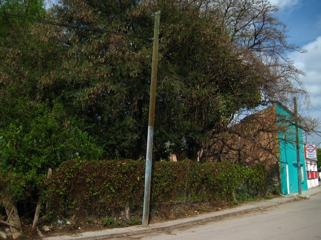 Imagen de calle Matamoros, Риоверде