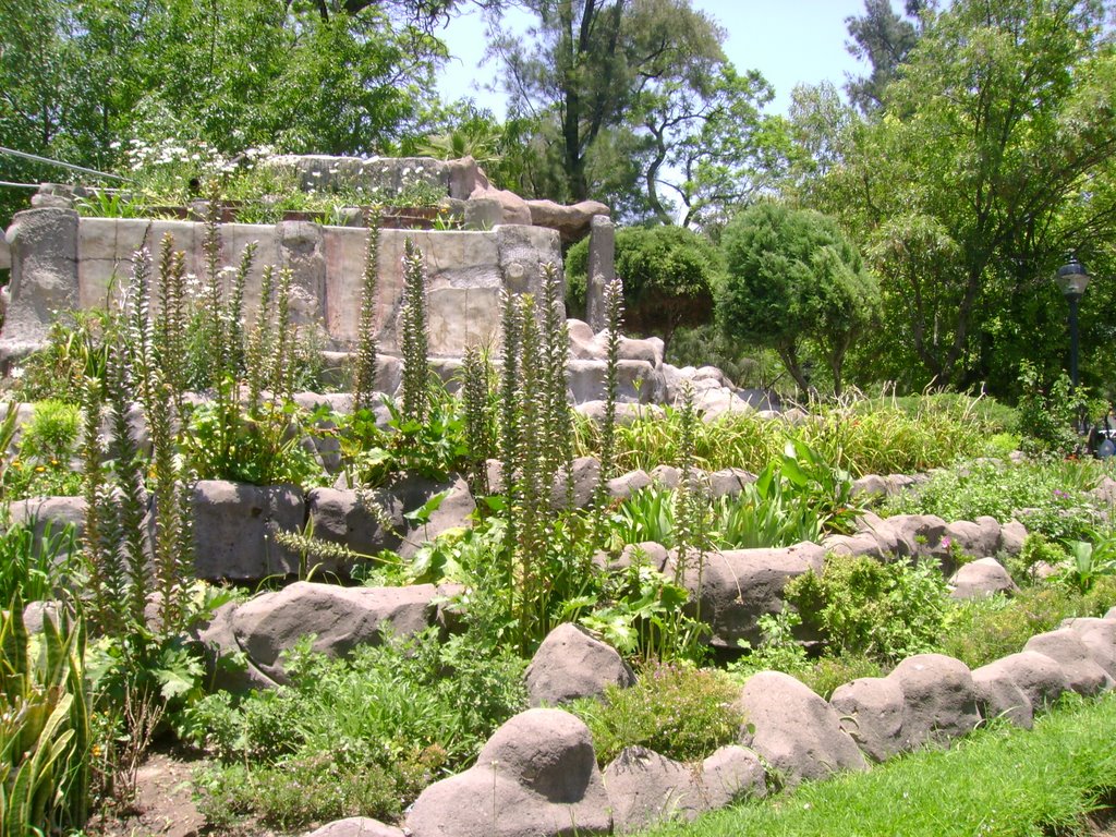 Jardines Alameda, Сан-Луис-Потоси
