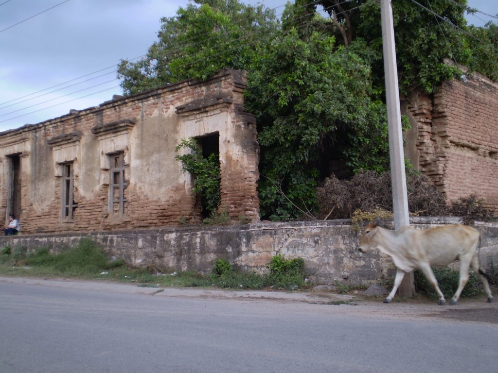 Antigua Casa Entrada a Baburia, Кулиакан