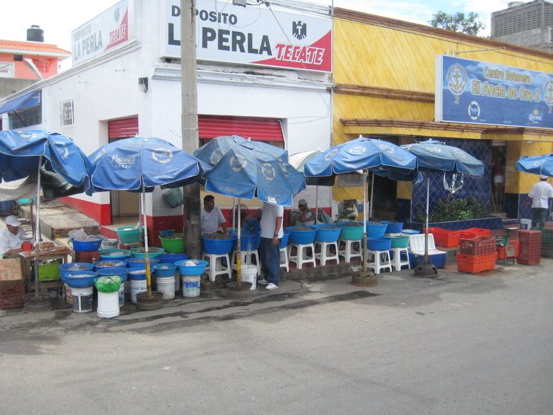 Las "Changueras" o Camaroneras con sus "stands" de ventas... en el Centro de Mazatlán. 2008, Мазатлан