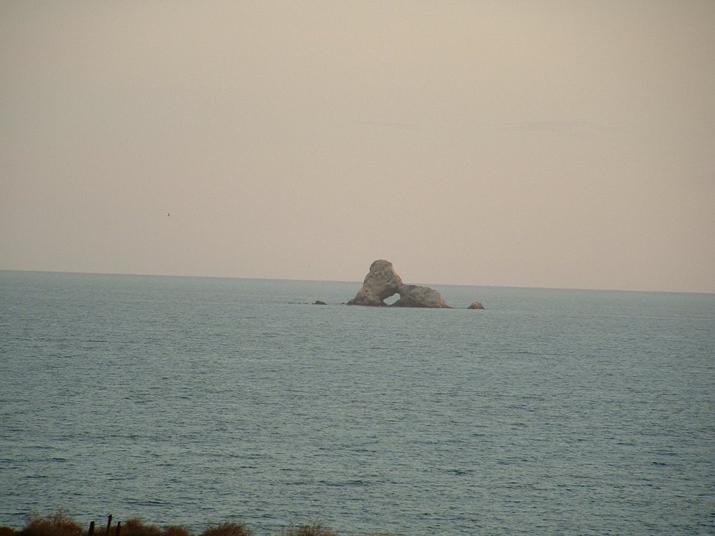 Isla "León Hechado", Емпалм