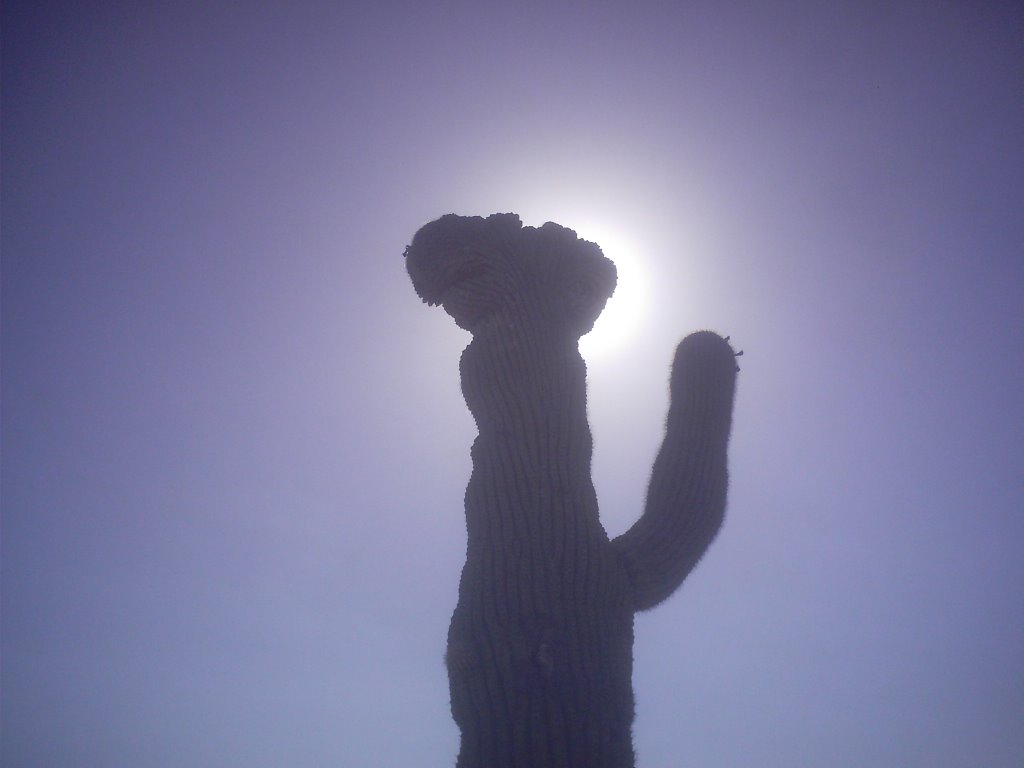 saguaro, Емпалм