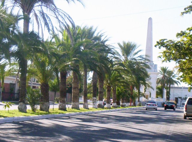 boulevard alvaro obregon, Навохоа