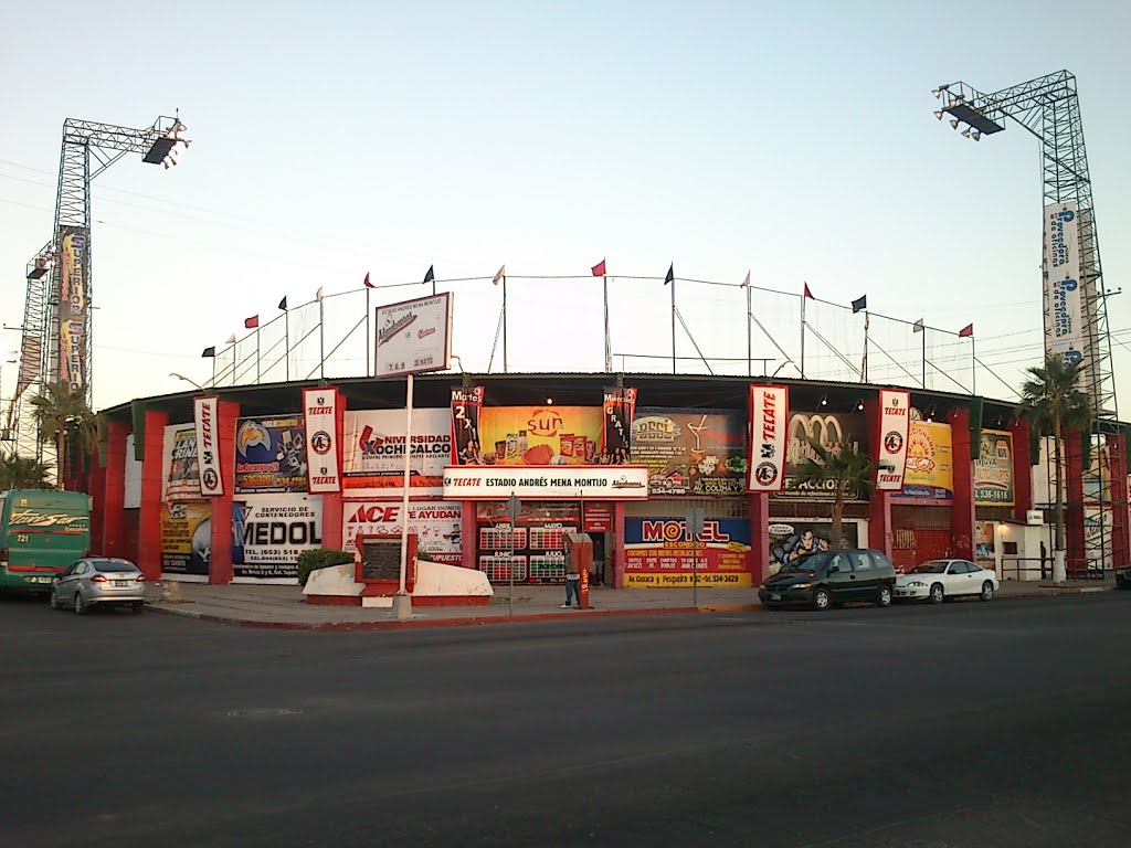 Vista frontal del Estadio Andres Mena Montijo 2013, Сан-Луис-Рио-Колорадо