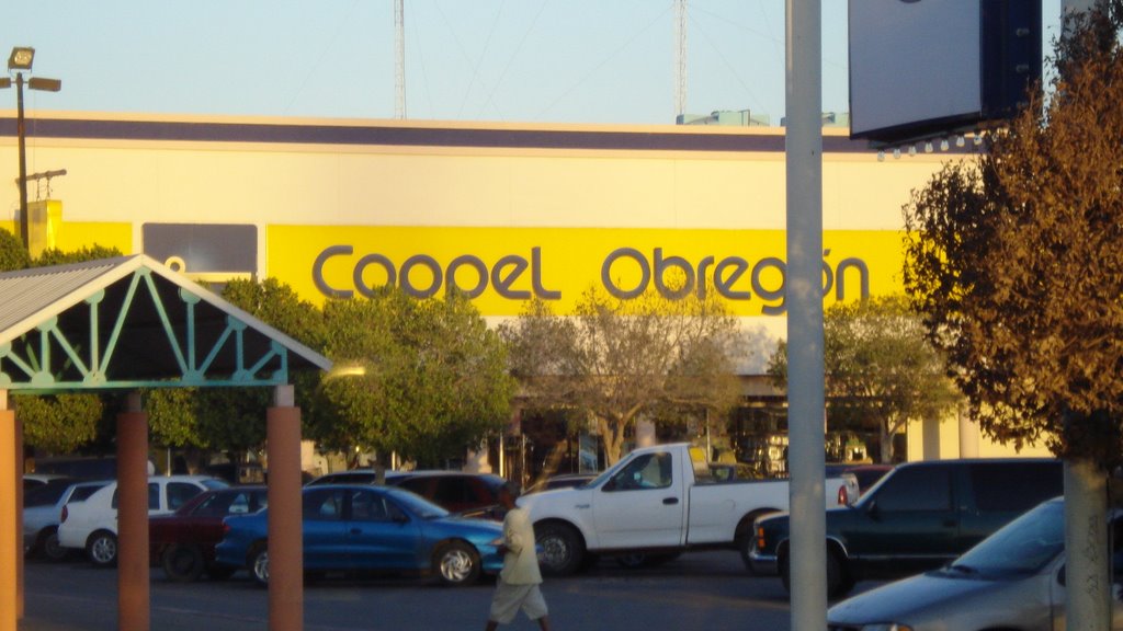 coppel, Сьюдад-Обрегон