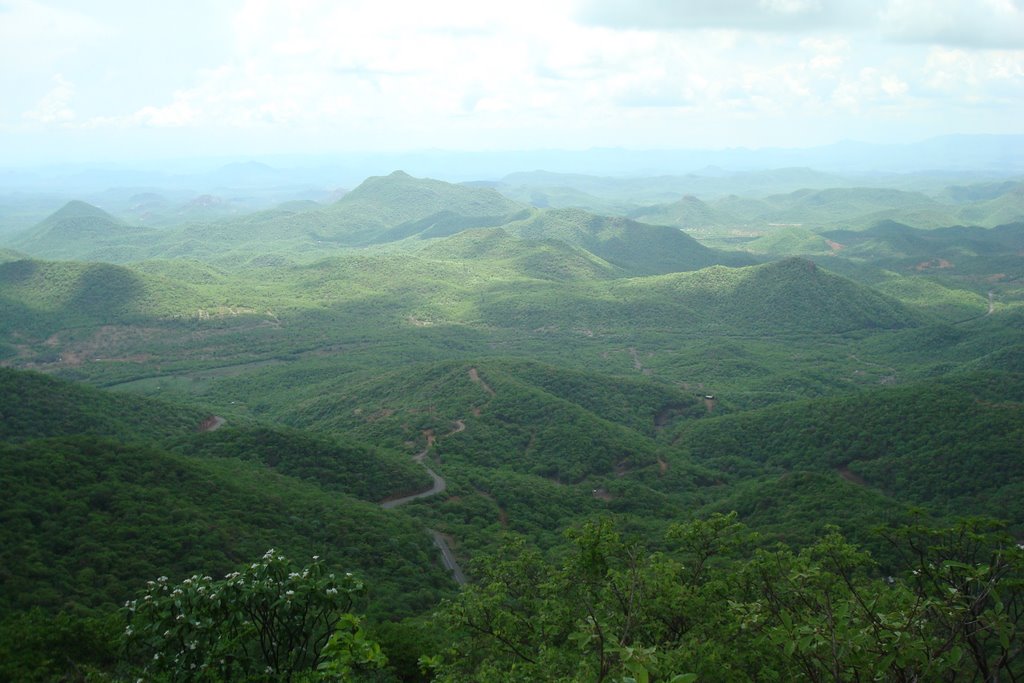 Valle de Tecoripa desde la sierra San Javier, Хероика-Ногалес