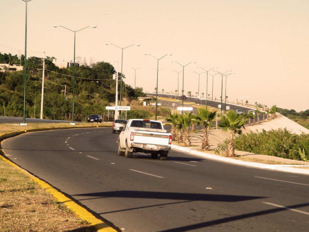 Ciudad Victoria, Tamaulipas- nuevo boulevard, Риноса