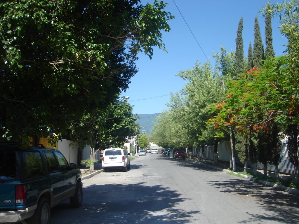 vista de la calle, Риноса