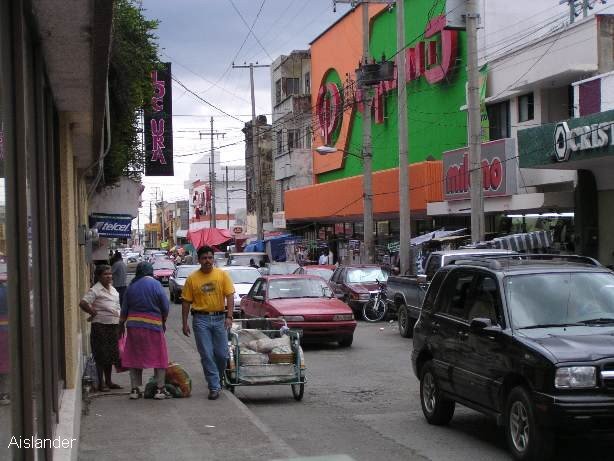 Cd Victoria - centro, Риноса