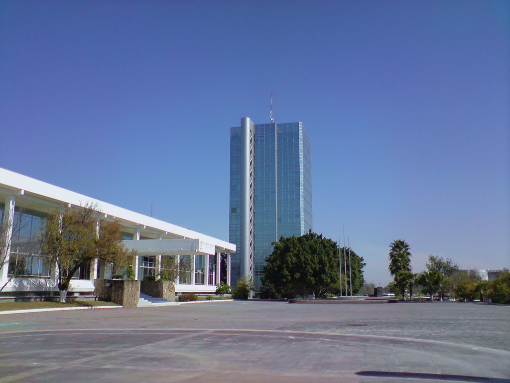 Torre Gubernamental (Palacio de Cristal), Риноса