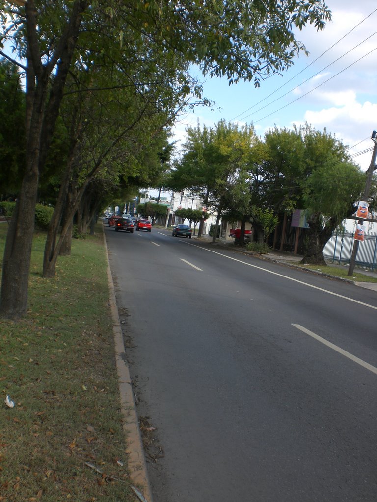 Calle, Риноса