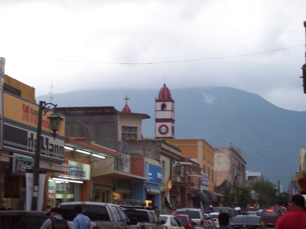 Centro de Ciudad Victoria, Tamaulipas, Риноса