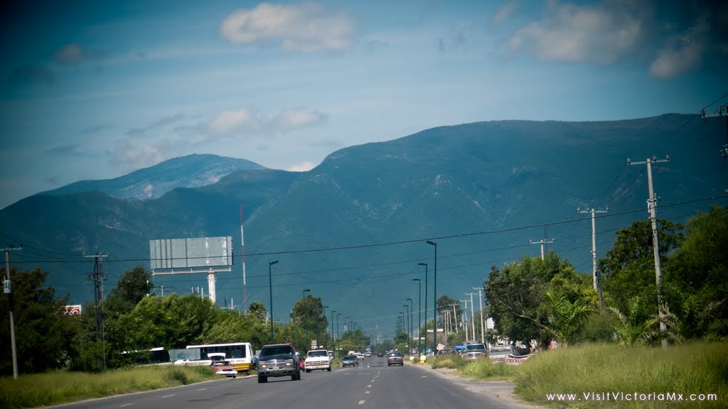 Carretera al Aeropuerto, Риноса