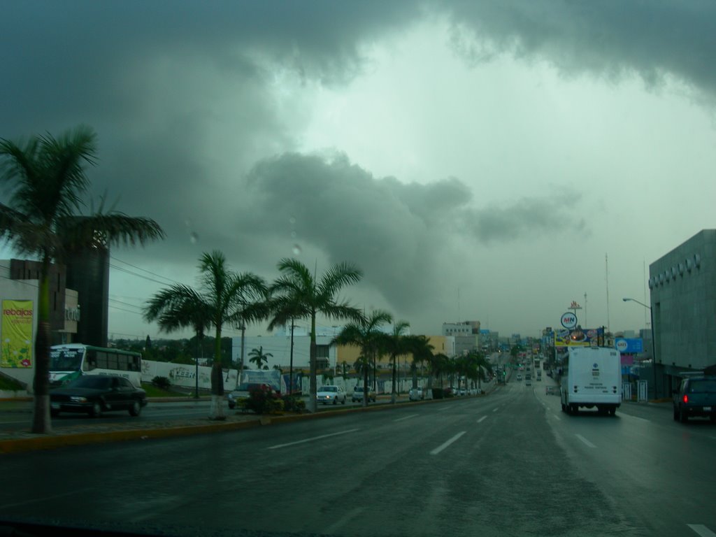 avenida Hidalgo a la altura de calle Agua Dulce, Тампико