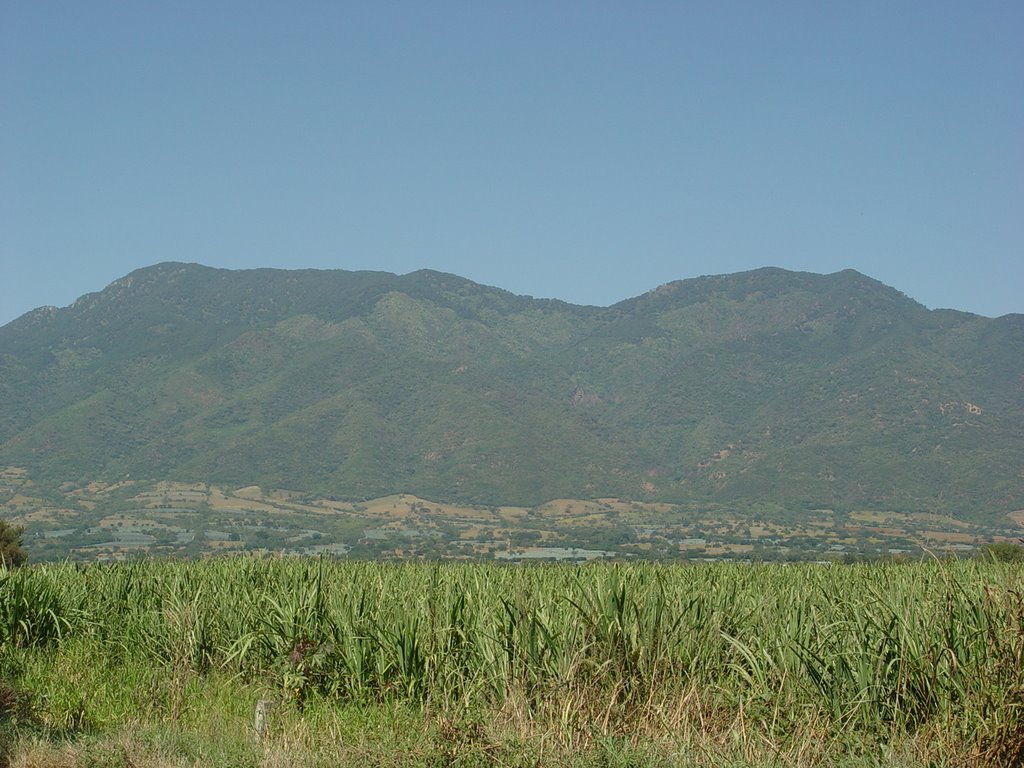 Cerro De Ameca, Амека