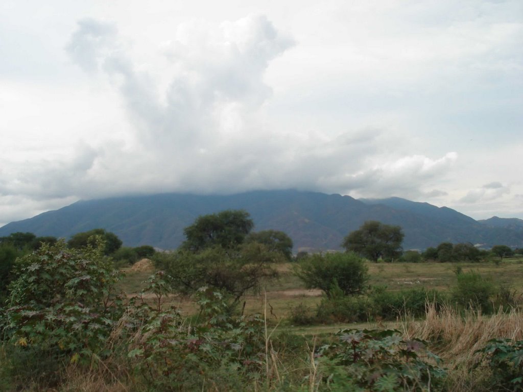 Cerro de Ameca (Nublado, Амека