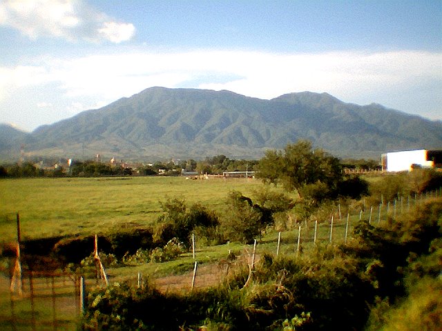 Cerro de Ameca, Амека