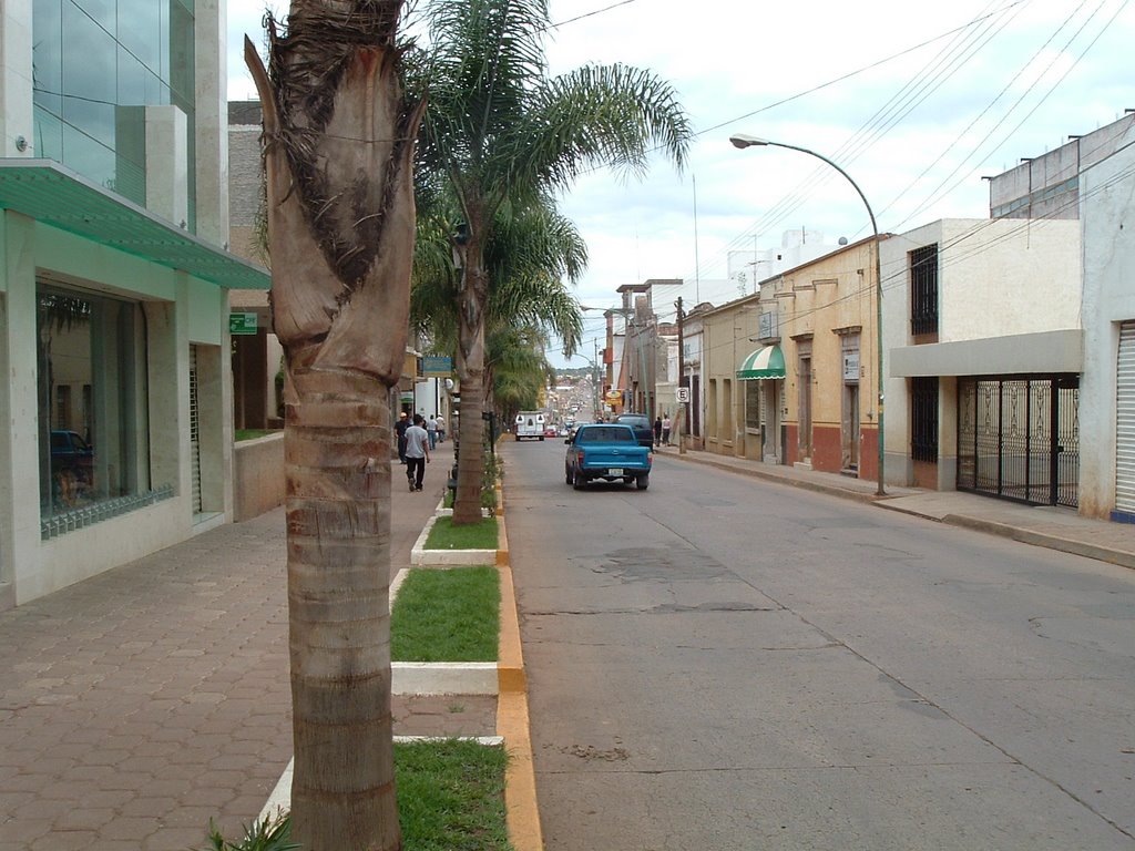 CalleObregon, Арандас