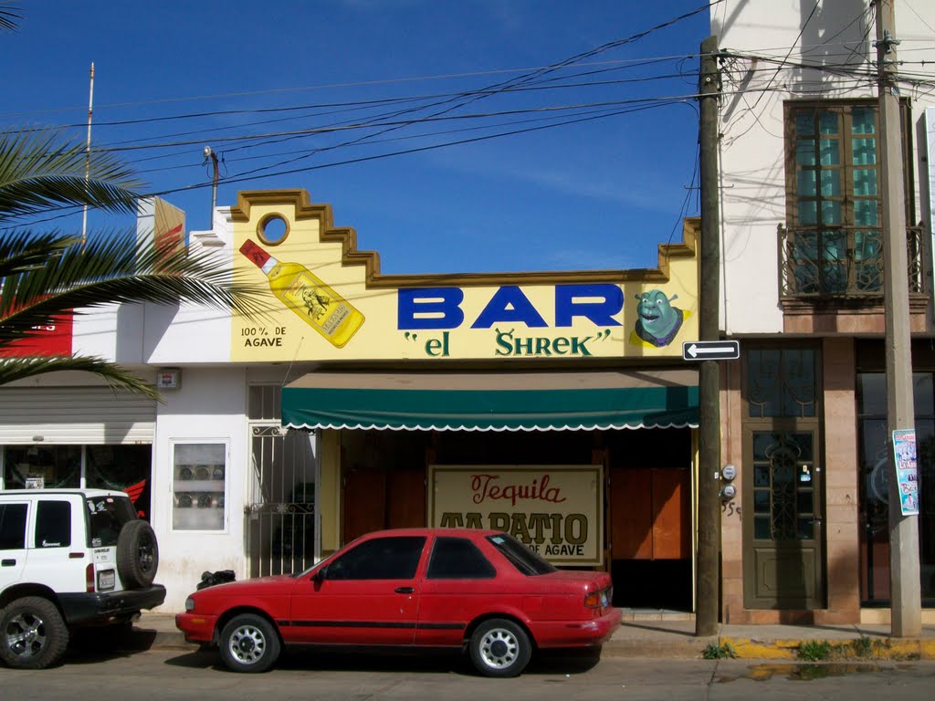 Bar "el Shrek", Arandas, Jalisco, Арандас