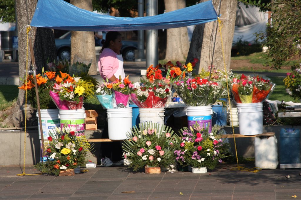Florista, en la plaza del Santuario De Nuestra Señora De Guadalupe.Guadalajara,Jalisco., Гвадалахара