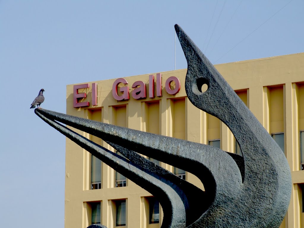 El Gallo, la paloma y la Serpiente, Гвадалахара