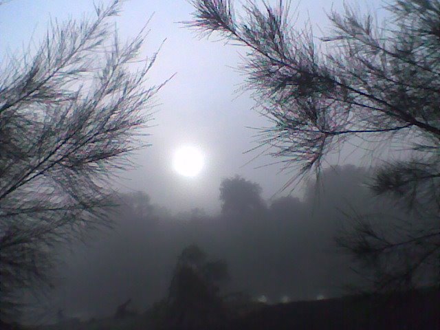 Niebla en el Río Lerma, Ла-Барка