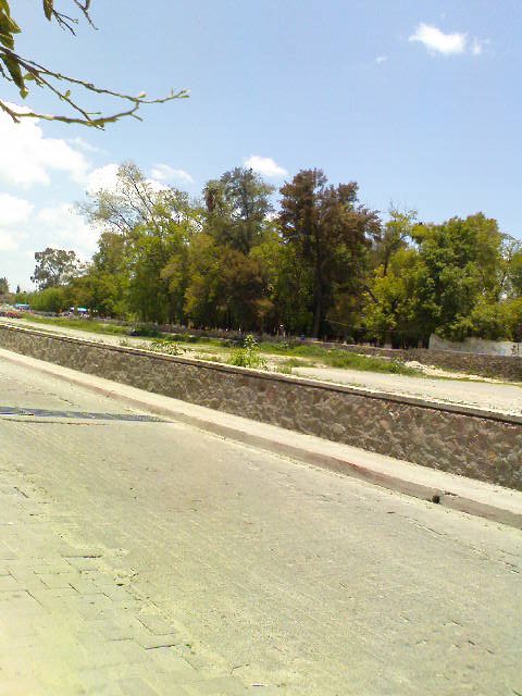 Vista del Jardin Agustin Rivera desdel la otra Banda, Лагос-де-Морено