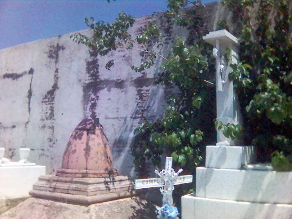 Cementerio Municipal, Лагос-де-Морено